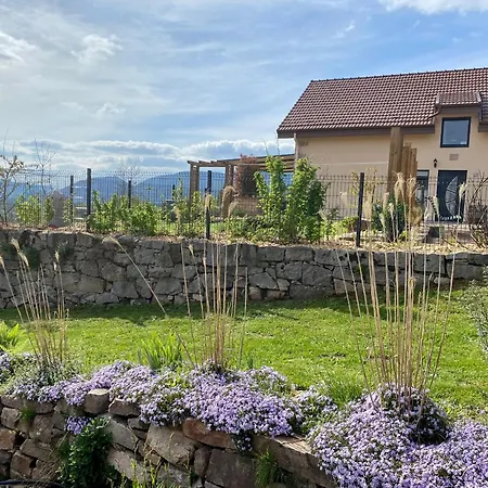 Prázdninový dům Spacieux 10 Pers A - Sauna, Jeux, Proche Gerardmer - Fr-1-589-400