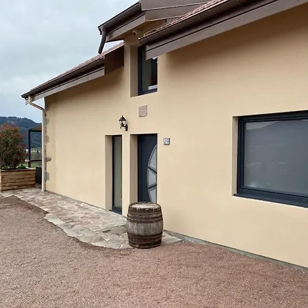 Spacieux 10 Pers A - Sauna, Jeux, Proche Gerardmer - Fr-1-589-400 Nyaraló