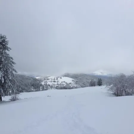 Dom wakacyjny Spacieux 10 Pers A - Sauna, Jeux, Proche Gerardmer - Fr-1-589-400