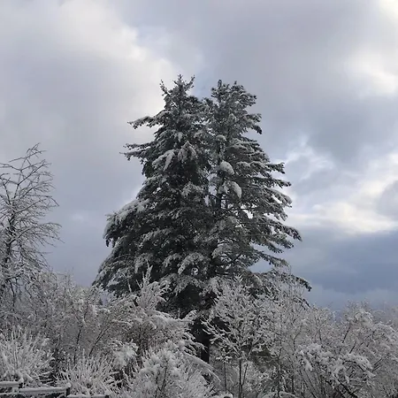 Prázdninový dům Spacieux 10 Pers A - Sauna, Jeux, Proche Gerardmer - Fr-1-589-400 Vagney