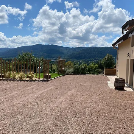 Σπίτι διακοπών Spacieux 10 Pers A - Sauna, Jeux, Proche Gerardmer - Fr-1-589-400 *
