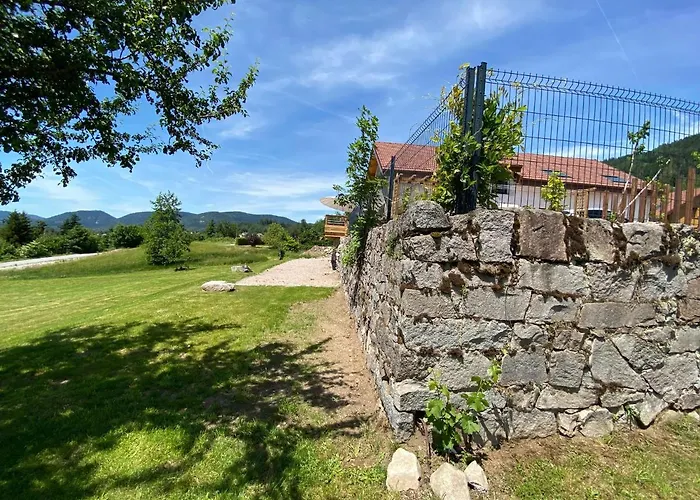 Prázdninový dům Spacieux 10 Pers A - Sauna, Jeux, Proche Gerardmer - Fr-1-589-400 Vagney