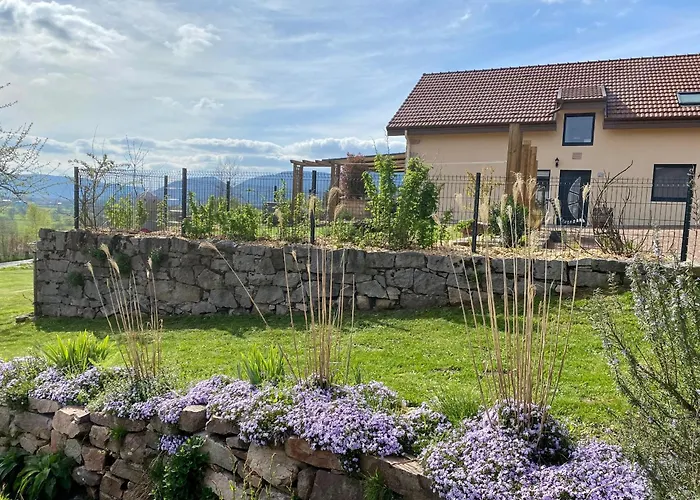 Prázdninový dům Spacieux 10 Pers A - Sauna, Jeux, Proche Gerardmer - Fr-1-589-400