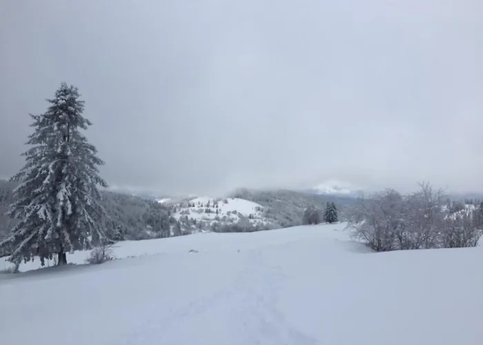 Prázdninový dům Spacieux 10 Pers A - Sauna, Jeux, Proche Gerardmer - Fr-1-589-400