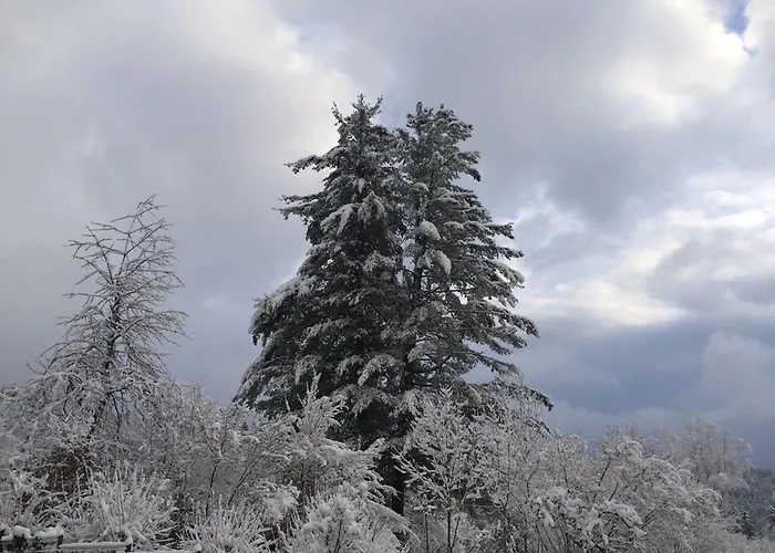 Prázdninový dům Spacieux 10 Pers A - Sauna, Jeux, Proche Gerardmer - Fr-1-589-400 Vagney